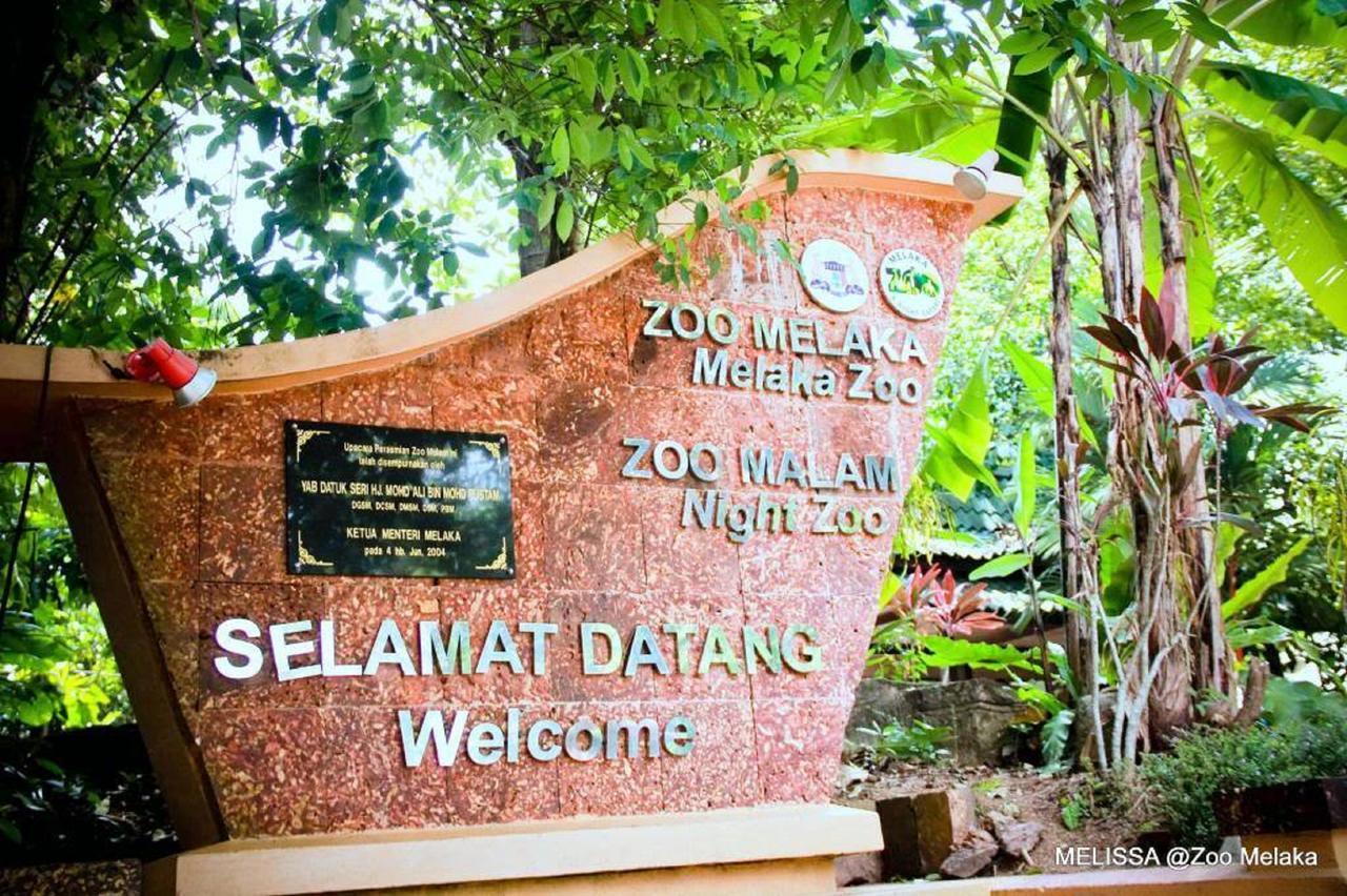 Sun Inns Hotel Ayer Keroh Bagian luar foto